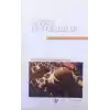 Güncel Dini Meseleler
