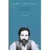 Güneşte Bir Gece