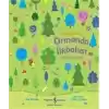 Hadi Gezelim Ormanda İlkbahar Ara-Bul Kitabı