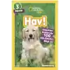 Hav!