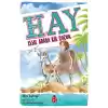 Hay - Issız Adada Bir Çocuk