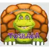 Hayvanlar Aleminin En Yavaşı : Tosbağa