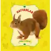 Hayvanlar - Dokun ve Hisset