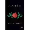 Hazin
