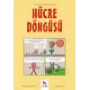 Hücre Döngüsü - Gençler İçin Çizgilerle Bilim