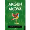 İçimden Geçen Yolda