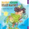 Ihlamur Ağacında Neler Oluyor?