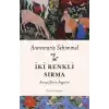 İki Renkli Sırma - Farsça Şiirin İmgeleri