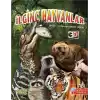 İlginç Hayvanlar - 3D Gözlük Hediyeli