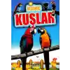 İlginç Kuşlar - İlginç Bilgiler Serisi
