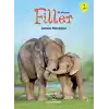 İlk Okuma - Filler