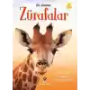 İlk Okuma Zürafalar