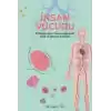 İnsan Vücudu