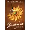 İs Serisi 3 - Günebakan