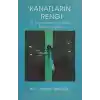 Kanatların Rengi