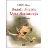 Kanatlı Kirpiyle Uçan Kaplumbağa
