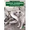 Kangal (Karabaş) Türk Çoban Köpeği