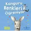 Kanguru Renkleri Öğreniyor