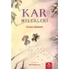 Kar Melekleri