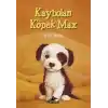 Kaybolan Köpek Max