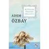 Kaybolmuş Hüzünler Müzayedesi