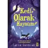 Kedi Olarak Hayatım