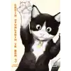 Kedim Oyunlarım ve Ben 3