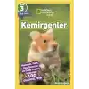 Kemirgenler