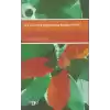 Kır ve Kent Hayatında Kadın Profili
