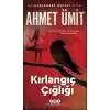 Kırlangıç Çığlığı