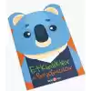 Koala-Etkinlikler ve Boyamalar