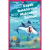 Köpek Balıklarının Muhteşem Dönüşü - Çocuklar İçin Bilgelik Hikayeleri 13