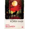 Köpek Kalbi