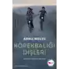 Köpekbalığı Dişleri