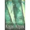 Koşan Köpek