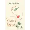 Kozmik Adalet