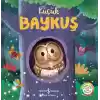 Küçük Baykuş