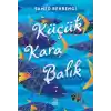 Küçük Kara Balık