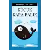 Küçük Kara Balık