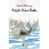 Küçük Kara Balık
