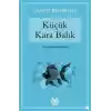 Küçük Kara Balık