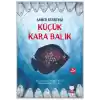 Küçük Kara Balık