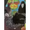 Küçük Karganın Bir Günü (Ciltli)