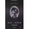 Kum ve Köpük Avare/ Aforizmalar ve Meseller