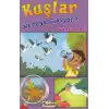 Kuşlar Nereye Gidiyor? - Göç Gizemleri