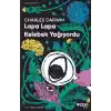 Lapa Lapa Kelebek Yağıyordu