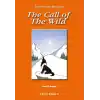 Level 4 - The Call of The Wild