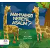 Mahyamızı Nereye Asalım?