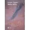 Melez Bilinç