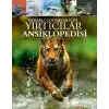 Meraklı Çocuklar İçin Yırtıcılar Ansiklopedisi